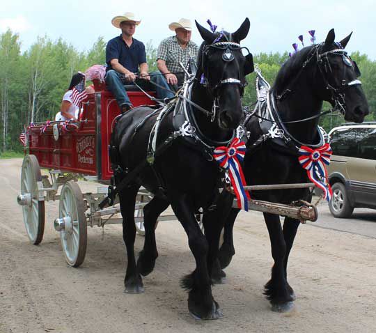 Percherons